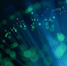 gestion-durable-parc-it-1-vignette