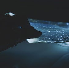 strategie-it-services-management-1-vignette