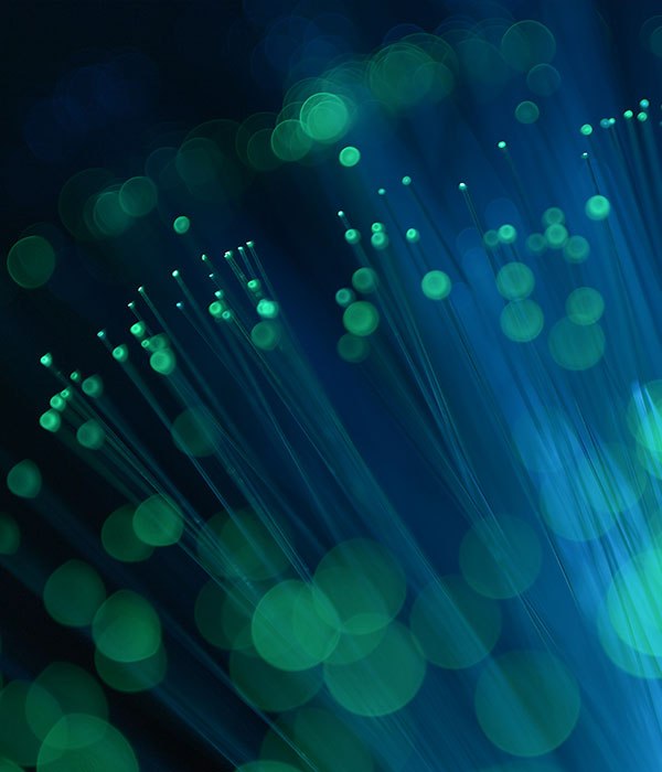 gestion-durable-parc-it-2